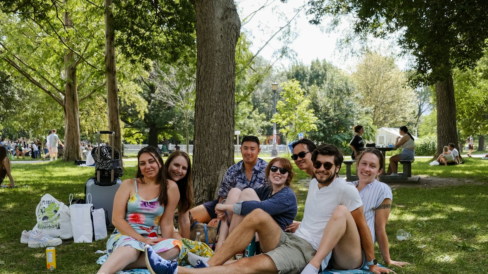 Friend group sitting together on the grass at a park